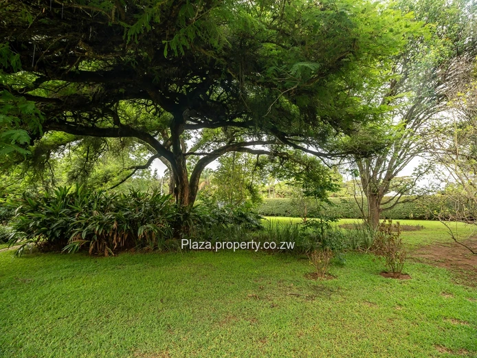 3 Bedroom House For Rent In Glen Lorne