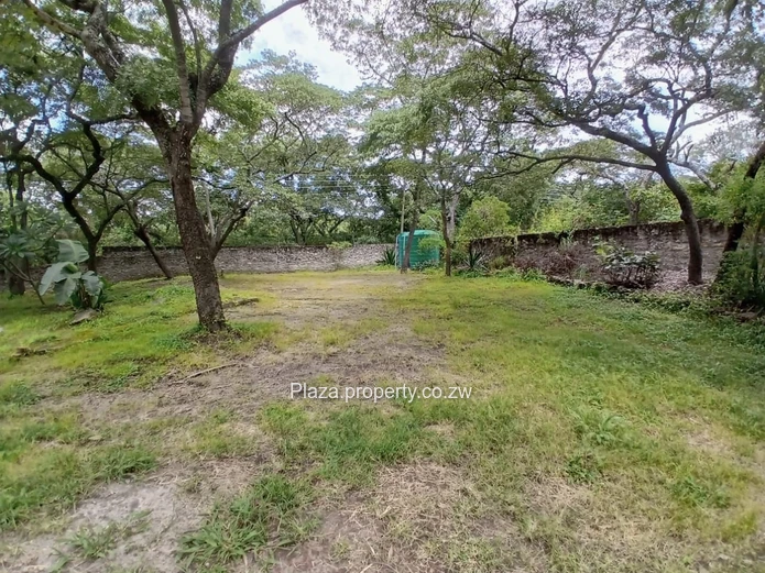 Monavale - Expansive Split-Level Family Home