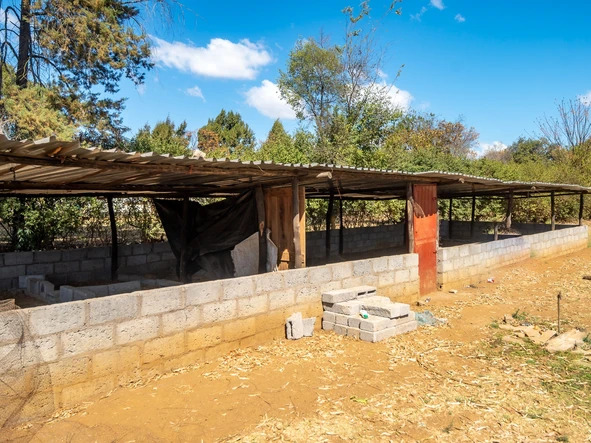 Commercial Property
