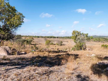 Farm & Agricultural Land