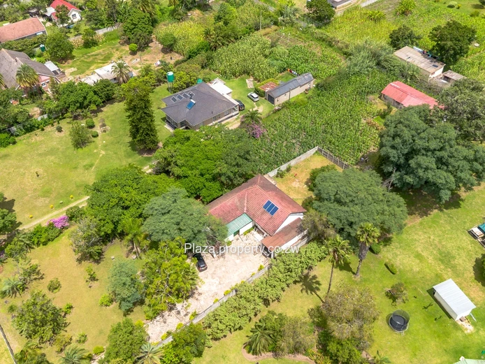 2000sqm Panhandle Stand With A Cottage In Athlone (Sole Mandate)