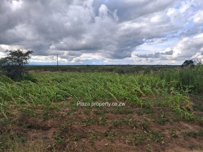 Stand For Sale In Chivhu - Buckenhill