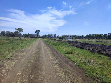 Stands & Residential Land