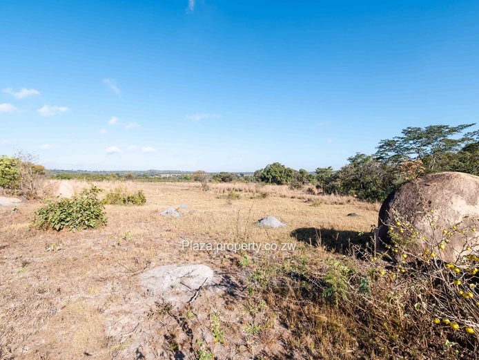 Marondera Prime 29-Hectare Farm – An Outstanding Investment Opportunity