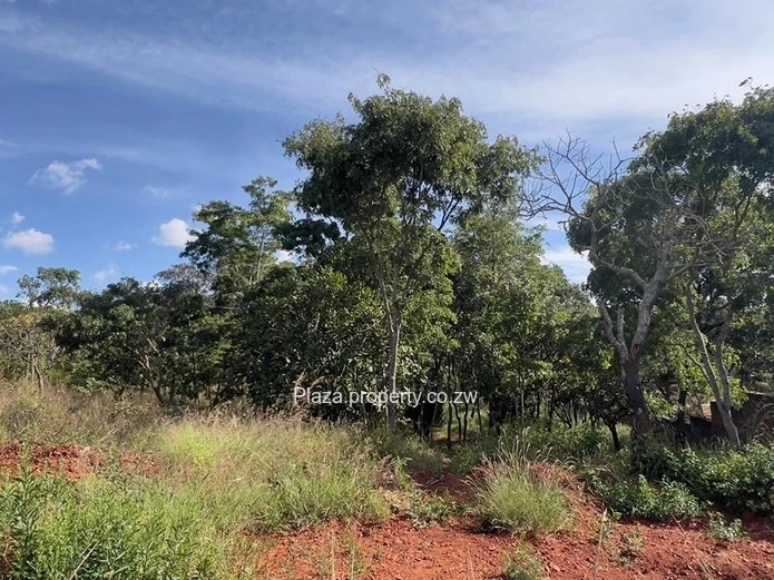 Where Vision Meets Land