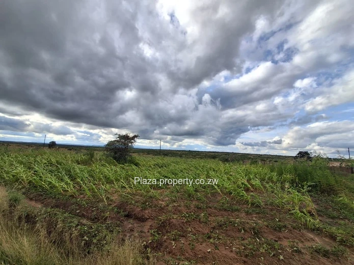 Stand For Sale In Chivhu - Buckenhill