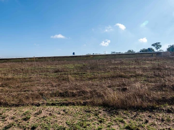 Farm & Agricultural Land
