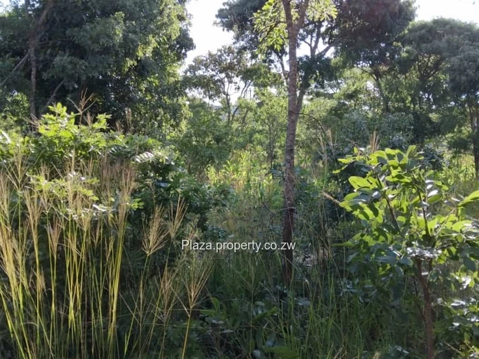 Own your space build your vision!!!!