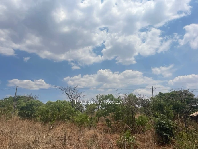 Stand For Sale – Norton, Knowe Phase 1