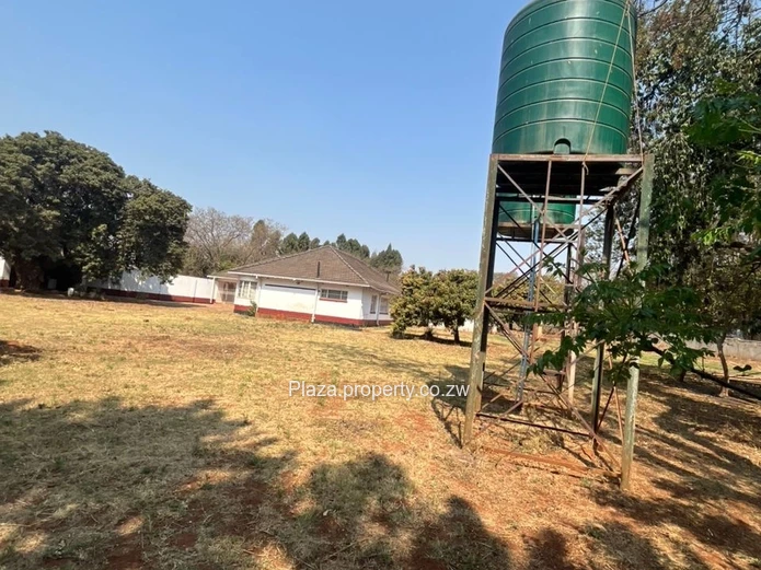 Prime Corner Stand!!!