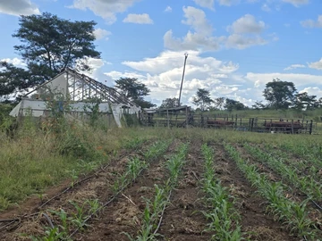 Farm & Agricultural Land