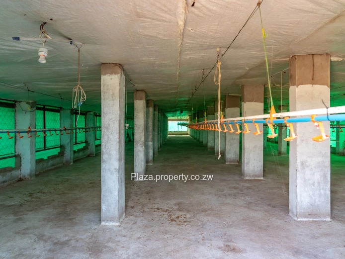 Prime Agro-Residential Plot in Kadoma  (Sole Mandate)