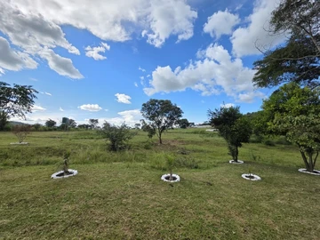 Farm & Agricultural Land