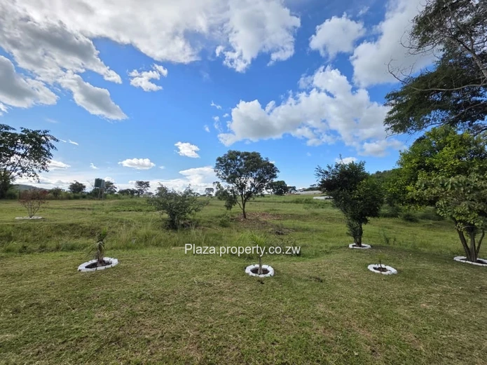 1.6 Hectare Agro-Residential Plot In Arcturus