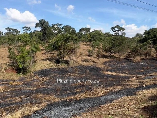 Where Vision Meets Land