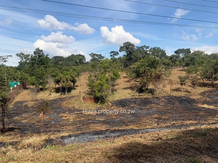 Where Vision Meets Land