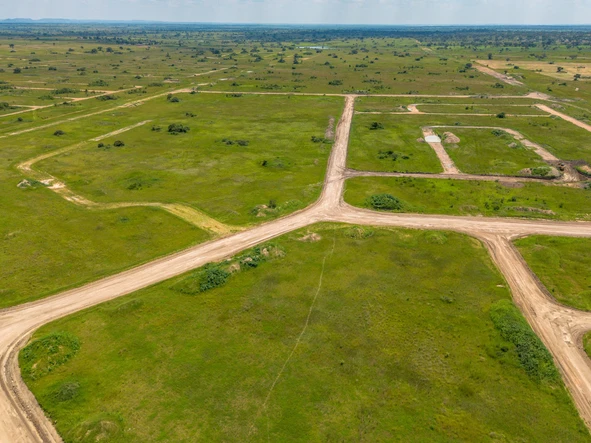 Stands & Residential Land