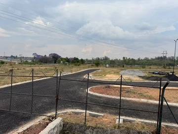Stands & Residential Land