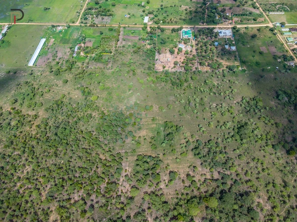 Land