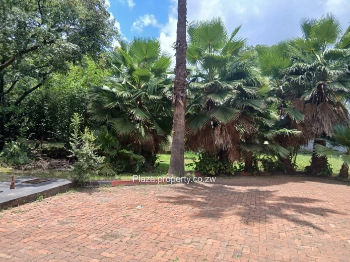 Monavale - Expansive Split-Level Family Home