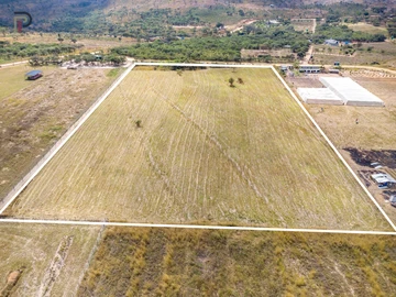 Farm & Agricultural Land