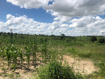 Commercial & Industrial Land