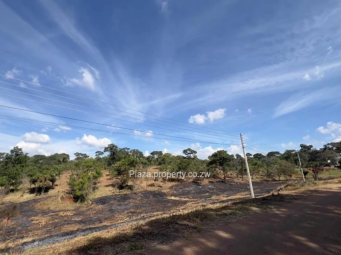 Where Vision Meets Land