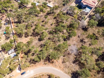 Stands & Residential Land