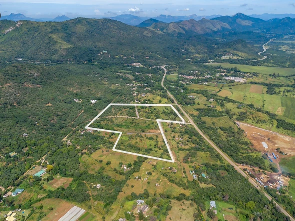 Stands & Residential Land