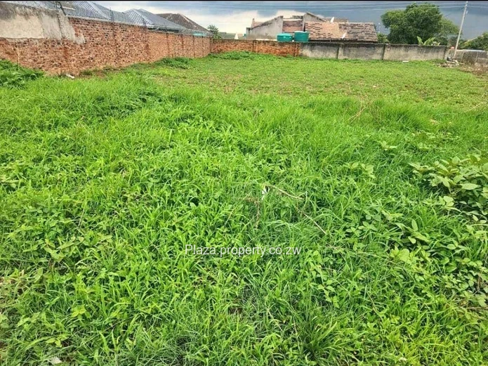 Prime opportunity in Old Zimre Park!