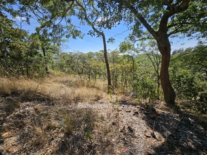 Rare Find: Private Road, River, Security & Views!!!