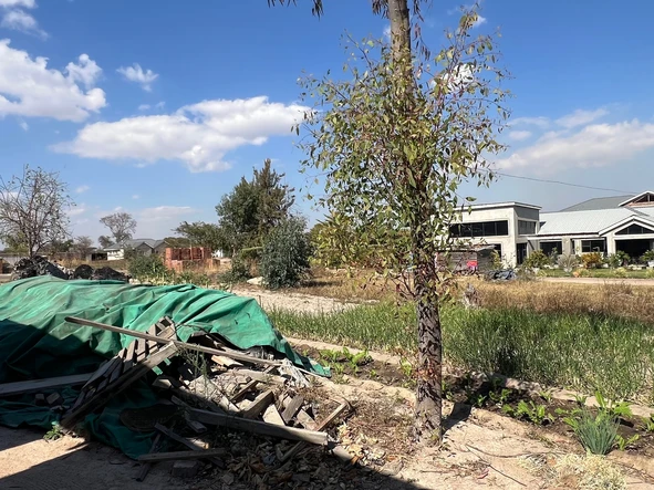 Stands & Residential Land