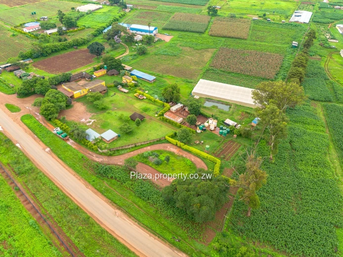 Commrecial Stand For Sale