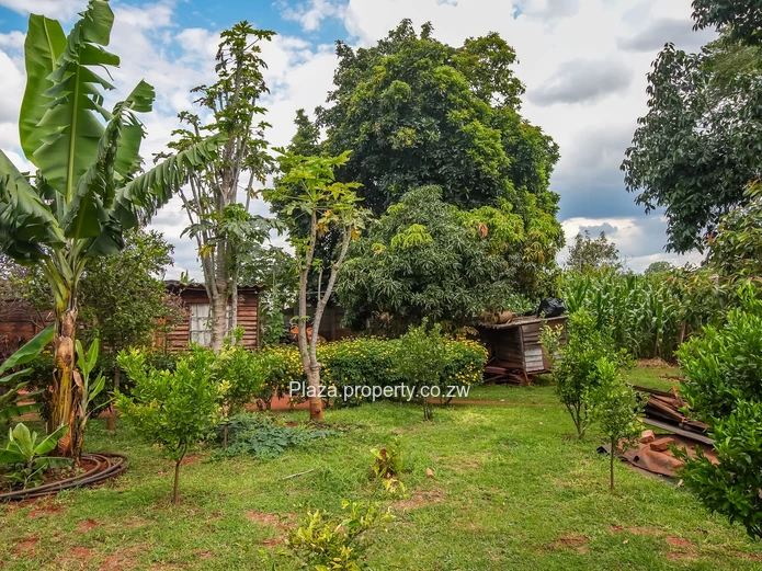 Grand double storey house in Helensvale for sale