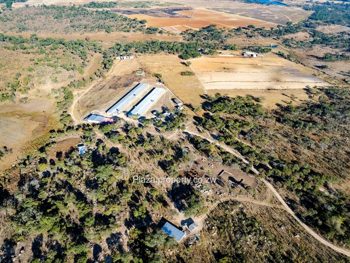 Marondera Prime 29-Hectare Farm – An Outstanding Investment Opportunity
