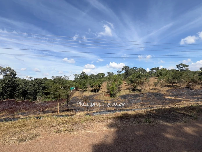 Where Vision Meets Land