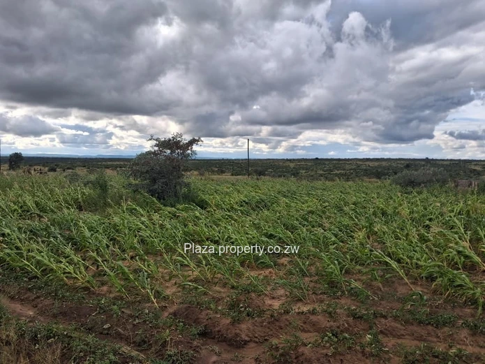 Stand For Sale In Chivhu - Buckenhill