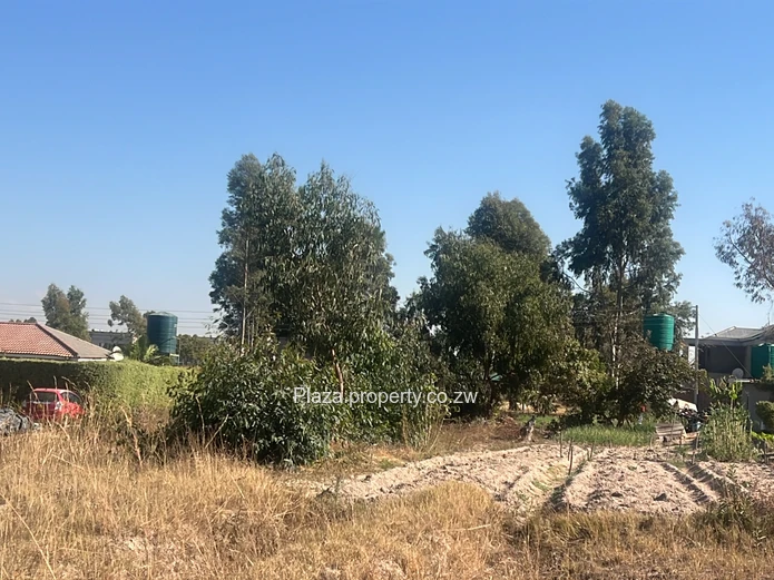 Arlington Estate | Prime Gated Community Stand