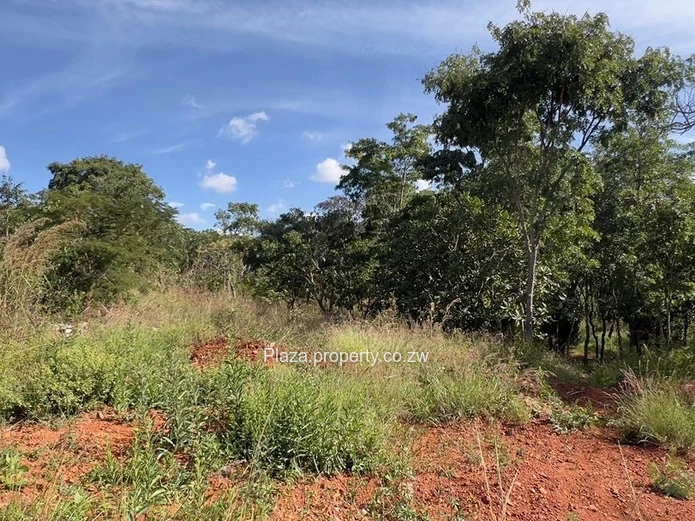 Where Vision Meets Land