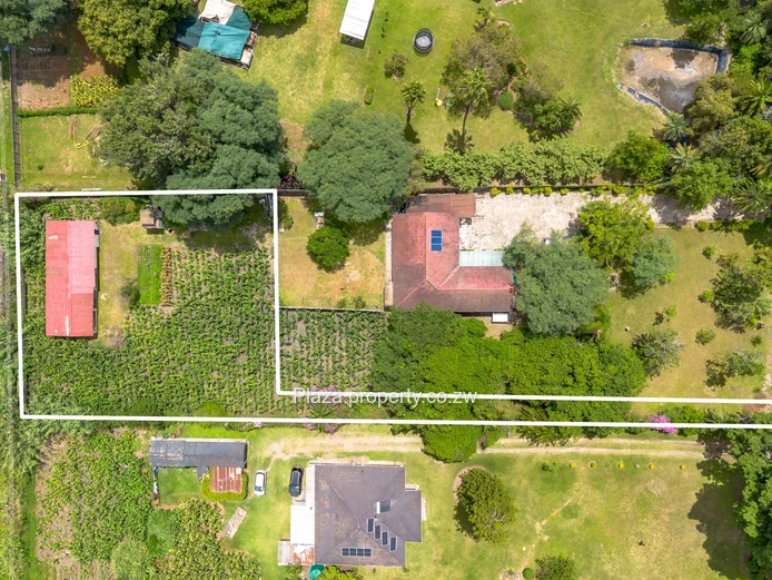 2000sqm Panhandle Stand With A Cottage In Athlone (Sole Mandate)