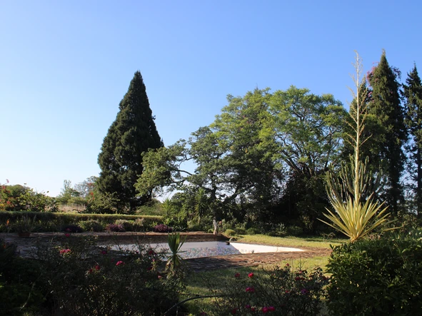 Commercial & Industrial Land