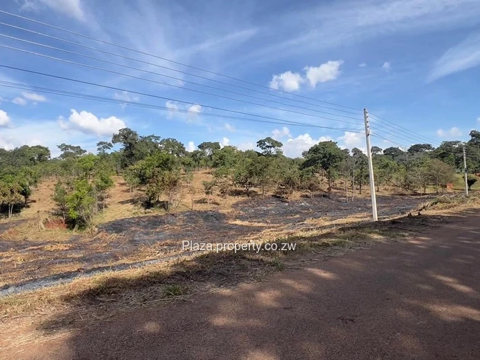 Where Vision Meets Land