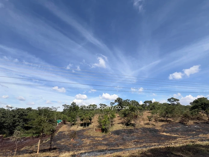 Where Vision Meets Land