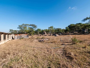 Farm & Agricultural Land