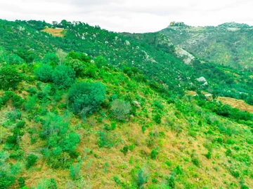 Commercial & Industrial Land