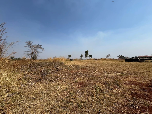 Commercial & Industrial Land