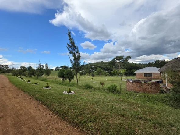 Farm & Agricultural Land