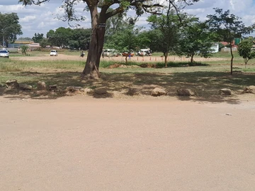 Commercial & Industrial Land