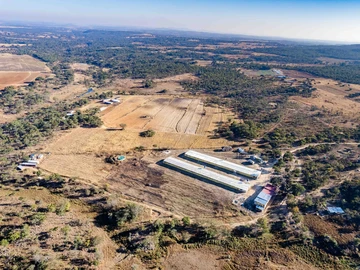 Farm & Agricultural Land