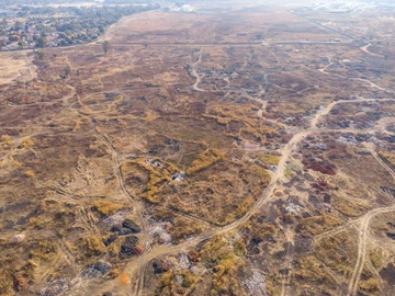 Commercial & Industrial Land